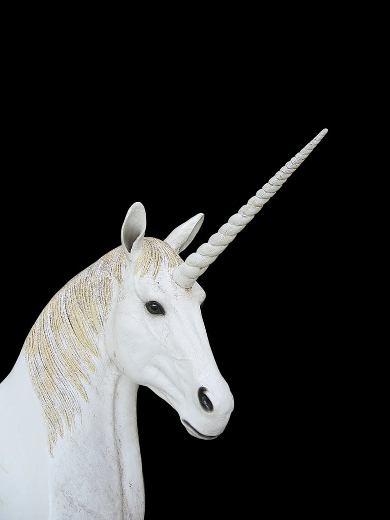 Unicorn Crafts